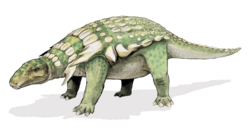 Edmontonia dinosaur.png