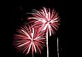 Fireworks 5049