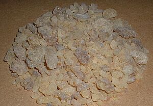Archivo:Frankincense