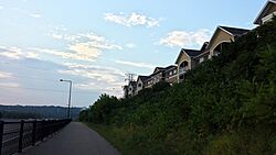 Interstate 35E Bridge - panoramio (4).jpg