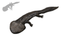 Koolasuchus