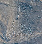 Líneas de Nazca, Nazca, Perú, 2015-07-29, DD 62