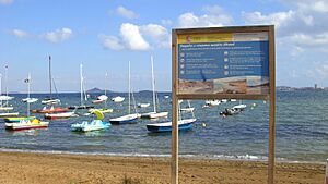 Archivo:La Manga - Playa de la naturaleza - panoramio
