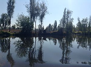 Archivo:Lago Xochimilco