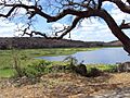 Laguna de Moyuá, Ciudad Dario