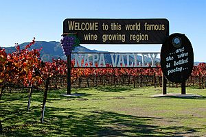 Archivo:Lightmatter napa valley