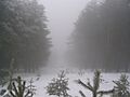 Niebla-guadarrama