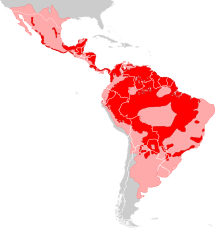 Distribución de Panthera onca. En rosa las zonas donde se ha extinguido, en rojo las zonas donde perdura.