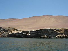 Paracas Peru 05