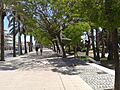 Passeig maritim llevant Cambrils