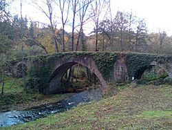 Ponte de Covas, Baralla.jpg
