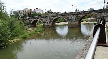 Puente de San Marcos en León (28)
