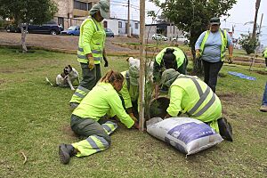 Archivo:Reforestación Plaza Empalme (8232522894)