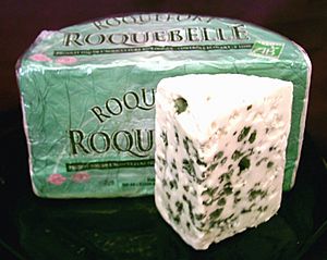Archivo:Roquefort cheese