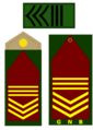 SAGNB