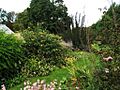 SnugHarborBotanicGarden