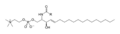 Sphingomyelin-horizontal-2D-skeletal