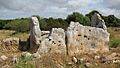 TGA 02-Roques llisses-100615 043