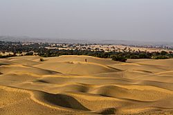 Archivo:Thar desert Rajasthan India