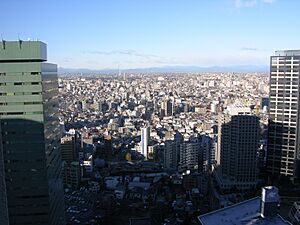 Archivo:TokyoPanoramicViewFromHilton