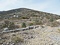 Tuxagni near Lagunilla, Hidalgo (5781893813)