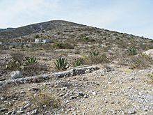 Archivo:Tuxagni near Lagunilla, Hidalgo (5781893813)