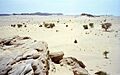 1997 278-13 Sahara Niger