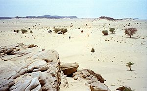 Archivo:1997 278-13 Sahara Niger