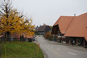 Archivo:2011-11-11-Mezlando (Foto Dietrich Michael Weidmann) 087