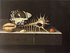 Adriaen Coorte - Shells - 1698
