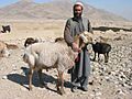 Afghanistan 12