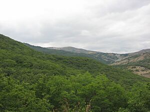 Archivo:Alty-Agaj National Park 3