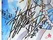 Arina Tanemura's signature board 20190803.jpg