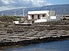 Salinas de Arinaga