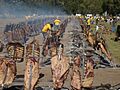 Asado a la estaca en General Pico, Argentina 2007