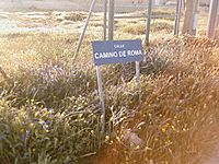 Archivo:Camino de Roma (El Puerto)