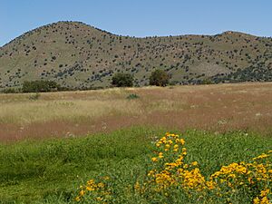 Archivo:Canelo Hills & Bullfrog Pond