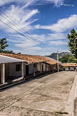 Casas y Calles de San Ignacio.jpg