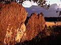 Cerro Duida