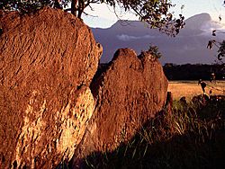 Archivo:Cerro Duida