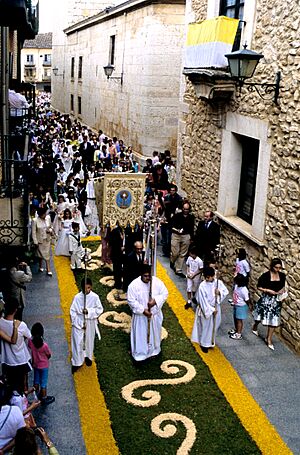 Archivo:El Burgo de Osma, Corpus (2007) 05