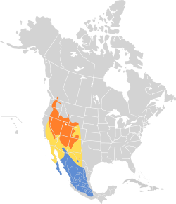 Distribución geográfica del mosquero gris.