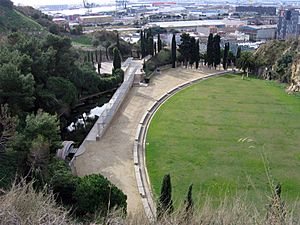 Archivo:Fossar Pedrera1