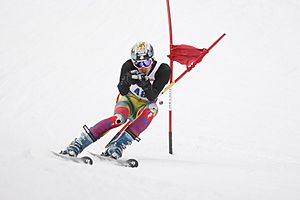 Archivo:Giant Slalom Racer