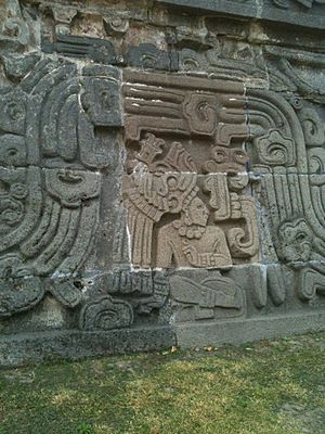 Archivo:Hombre Maya en el Templo de la Serpiente Emplumada