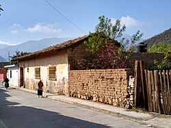Houses and streets in Maltrata, Veracruz 06.jpg