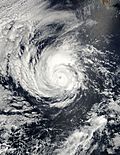Hurricane Alma 2002.jpg