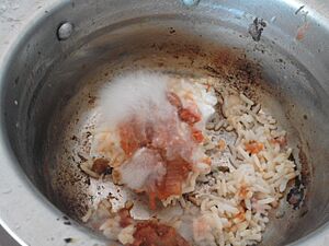 Archivo:Hypha on rice