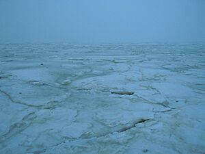 Archivo:Ice on the Gulf of Odessa