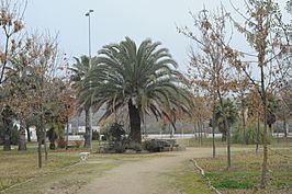 Jardín botánico de Riolobos.